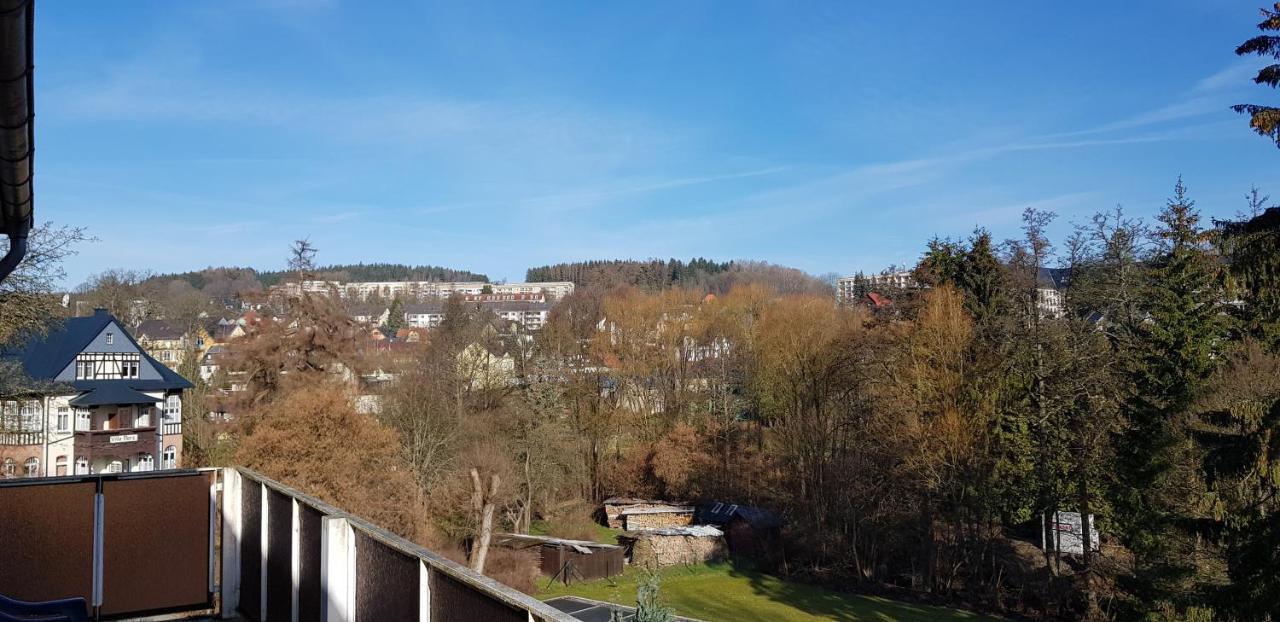 Ferienwohnungen Villa Goldbrunnen 巴特埃尔斯特 外观 照片